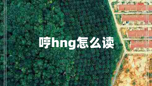 哼h(yuǎn)ng怎么讀