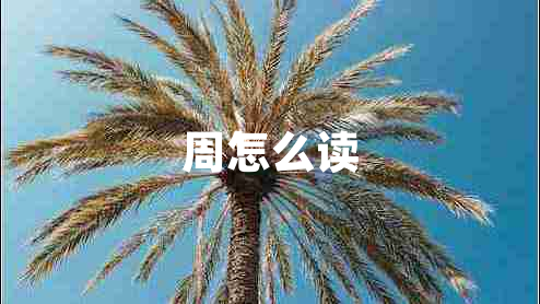 周怎么讀 周怎么讀
