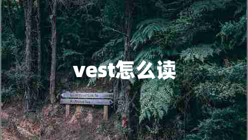 vest怎么讀 vest怎么讀