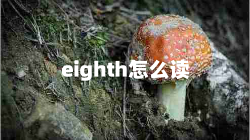 eighth怎么讀