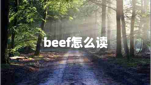 beef怎么讀 beef怎么讀