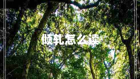 傾軋?jiān)趺醋x