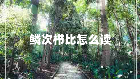 鱗次櫛比怎么讀