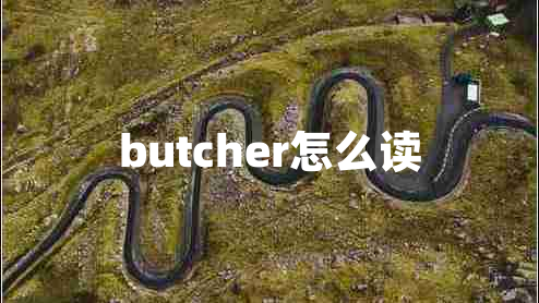 butcher怎么讀