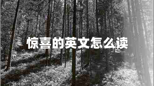 驚喜的英文怎么讀 驚喜的英文怎么讀