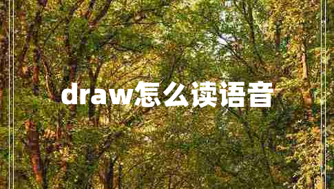draw怎么讀語(yǔ)音