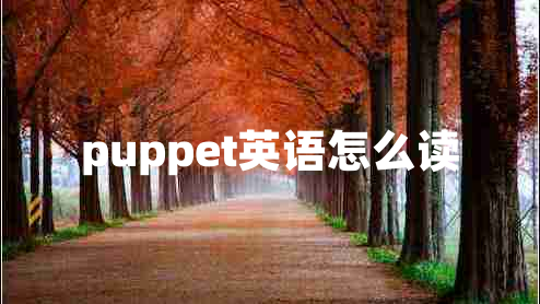 puppet英語怎么讀