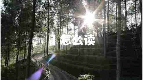 丨怎么讀 丨怎么讀