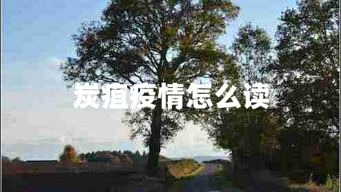 炭疽疫情怎么讀 炭疽疫情怎么讀