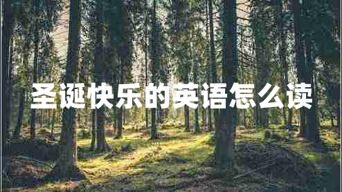 圣誕快樂的英語怎么讀 圣誕快樂的英語怎么讀