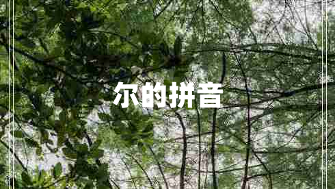 爾的拼音 爾的拼音