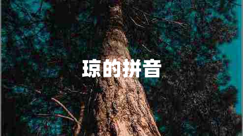 瓊的拼音 瓊的拼音