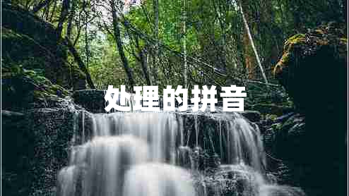 處理的拼音 處理的拼音