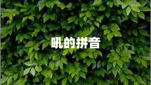 吼的拼音 吼的拼音