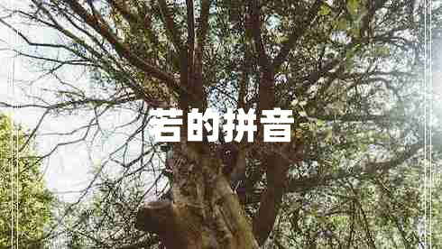 若的拼音 若的拼音