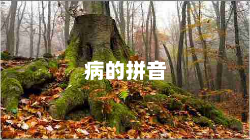 病的拼音 病的拼音