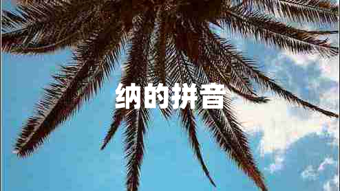 納的拼音 納的拼音