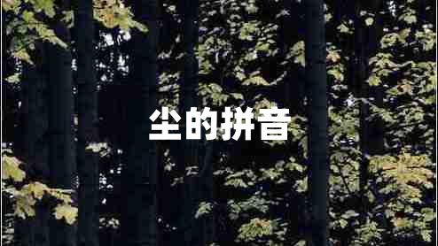 塵的拼音 塵的拼音