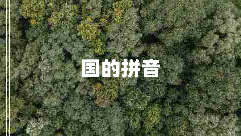 國的拼音 國的拼音