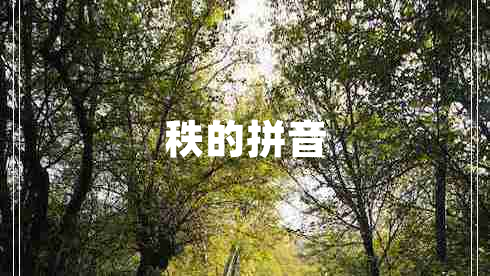 秩的拼音 秩的拼音