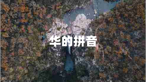 華的拼音 華的拼音