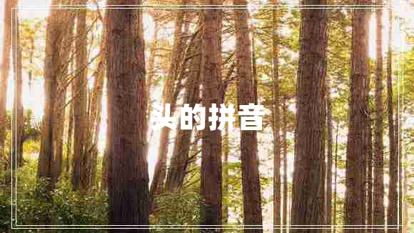 頭的拼音 頭的拼音