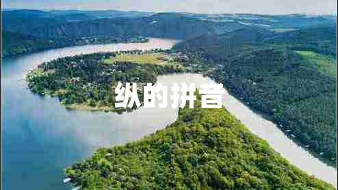 縱的拼音 縱的拼音