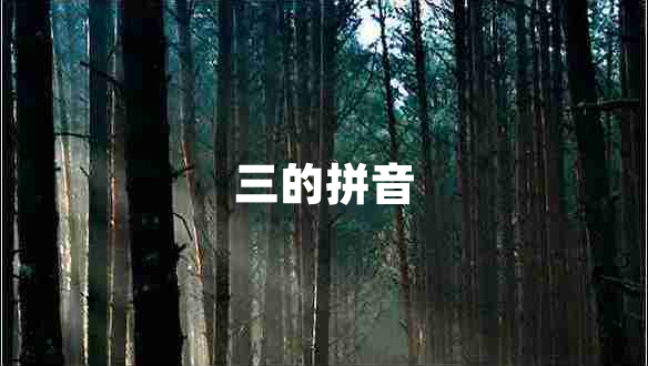 三的拼音 三的拼音