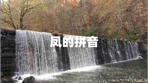 鳳的拼音 鳳的拼音