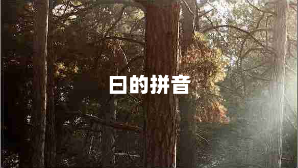 曰的拼音 曰的拼音