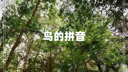 鳥的拼音 鳥的拼音