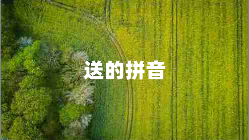 送的拼音 送的拼音
