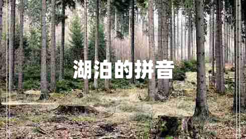 湖泊的拼音 湖泊的拼音