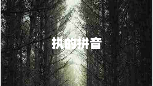 執(zhí)的拼音 執(zhí)的拼音