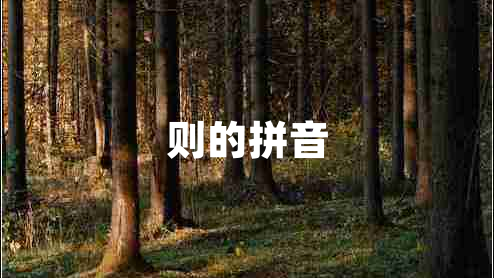 則的拼音 則的拼音