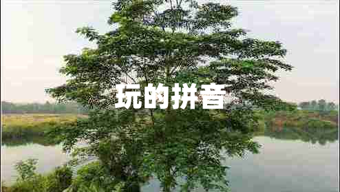 玩的拼音 玩的拼音