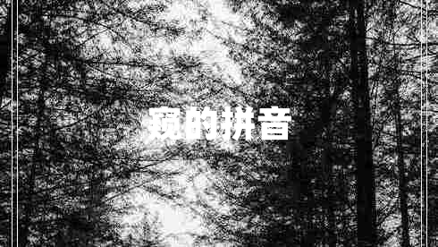 窺的拼音 窺的拼音