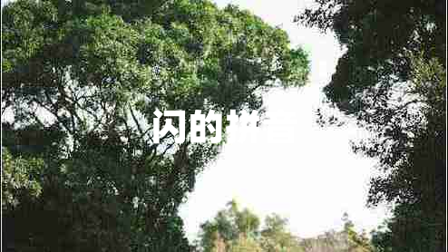 閃的拼音 閃的拼音