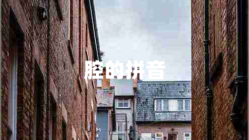 腔的拼音 腔的拼音