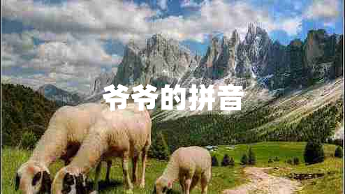 爺爺?shù)钠匆? title=