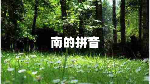 南的拼音 南的拼音