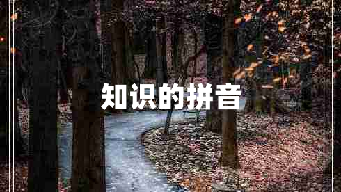 知識(shí)的拼音 知識(shí)的拼音