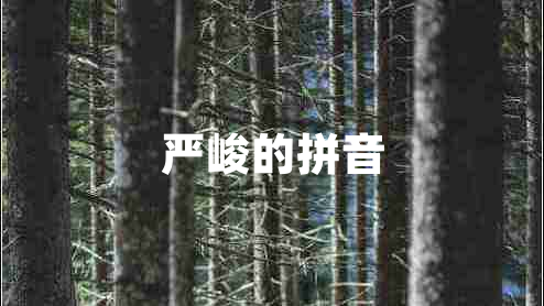 嚴(yán)峻的拼音 嚴(yán)峻的拼音