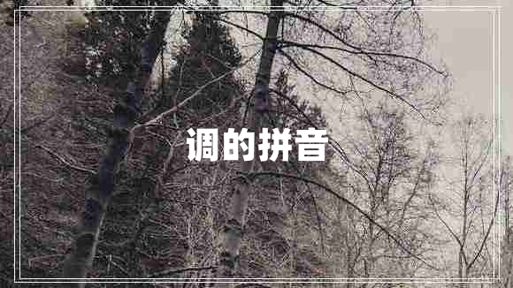 調(diào)的拼音 調(diào)的拼音