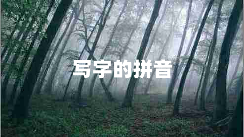 寫字的拼音 寫字的拼音