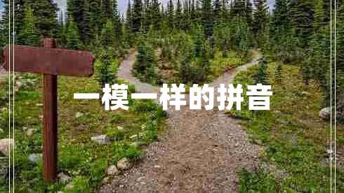 一模一樣的拼音