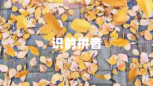 識(shí)的拼音 識(shí)的拼音