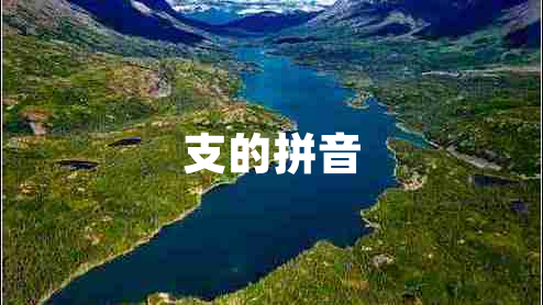 支的拼音