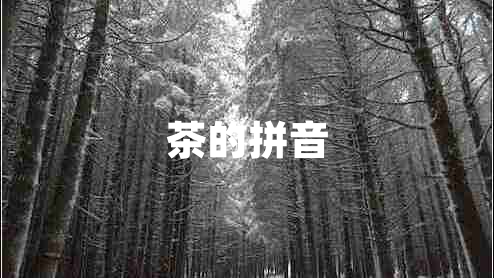 茶的拼音 茶的拼音
