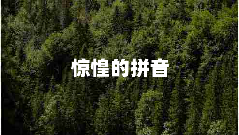 驚惶的拼音
